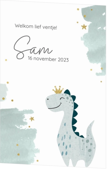 Geboortekaartje Sam - Dino Prinsje