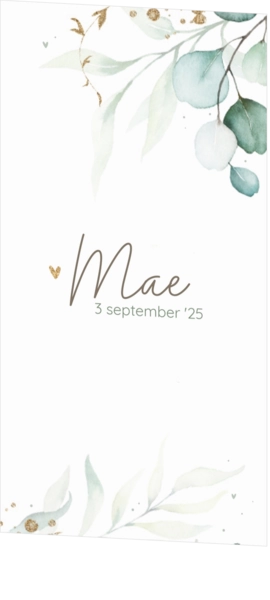 Geboortekaartje Mae - Waterverf takjes