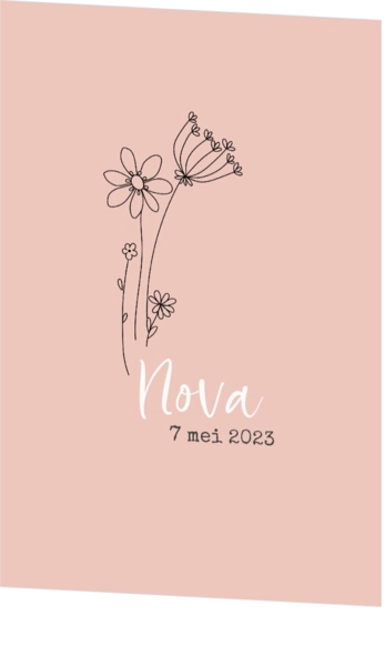 Nova - Lijntekening bloemen