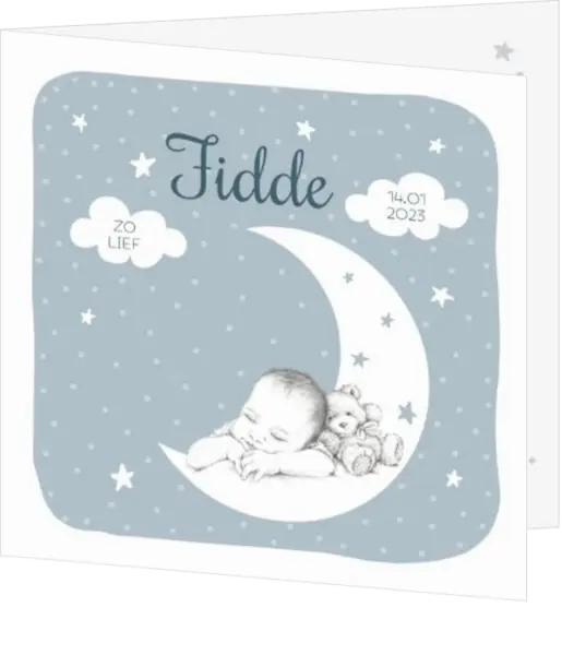 Geboortekaartje Fidde - Potloodtekening baby