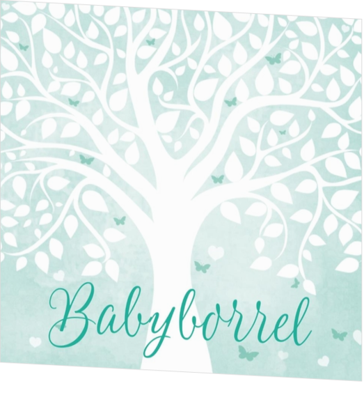 Babyborrel kaartjes & Kraamfeest uitnodigingen - geboortekaartje KB459-J