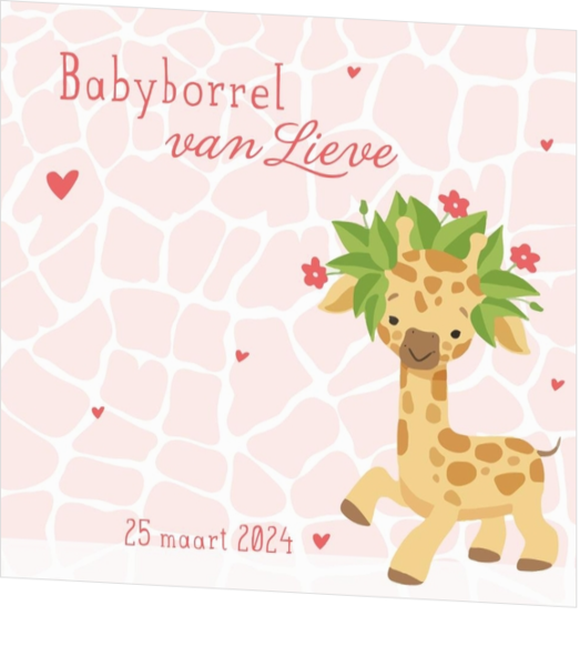 Babyborrel kaartjes & Kraamfeest uitnodigingen - geboortekaartje KB619-M