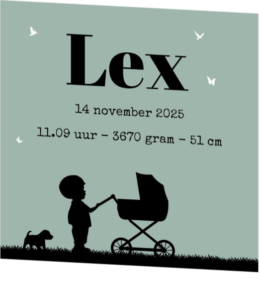 Poster voor in de babykamer - geboortekaartje LC647-J-P3