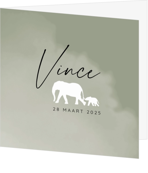 Geboortekaartje Vince - Kleine olifantjes