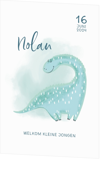 Geboortekaartje Nolan - Dino