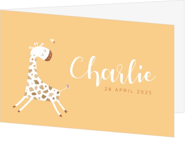 Geboortekaartje Charlie - Vrolijk girafje