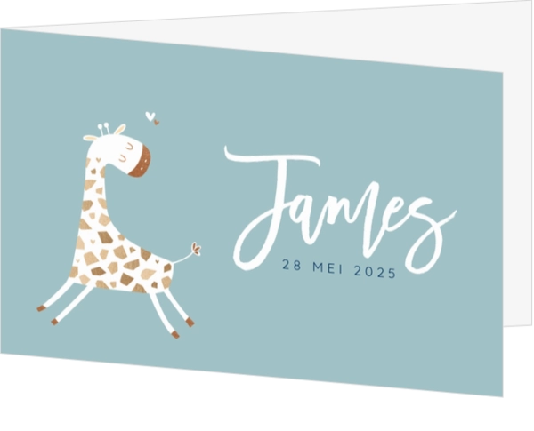 Geboortekaartje James - Grappig girafje