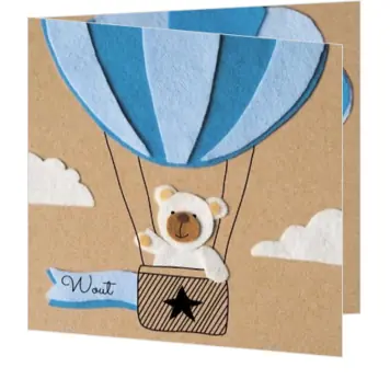 Wout - Beertje in blauwe luchtballon
