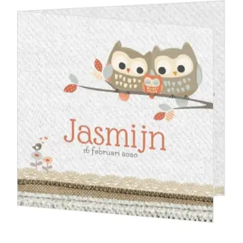 Jasmijn - Uiltjes op een tak met kleintje