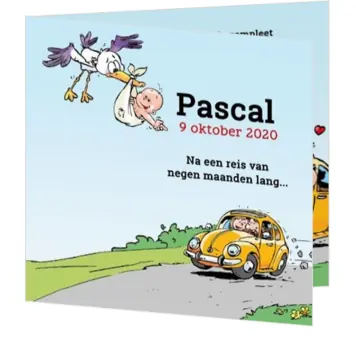 Pascal - Ooievaar bezorgt baby