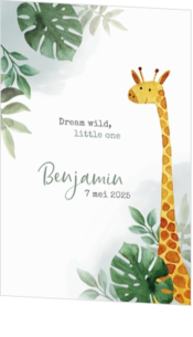 Geboortekaartjes met giraf - geboortekaartje 201008-00