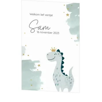 Geboortekaartje Sam - Dino Prinsje