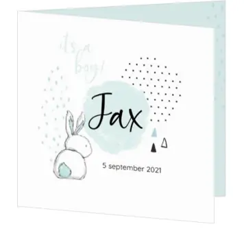 Geboortekaartje Jax - Konijntje met stipjes mint