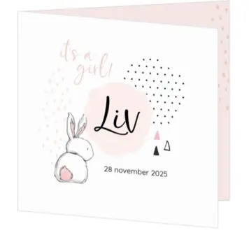 Liv - Konijntje met stipjes roze