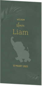 Geboortekaartje Liam - Olifant in de jungle