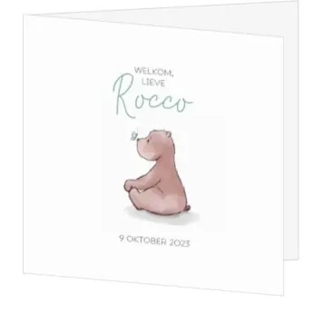 Geboortekaartje Rocco - Beertje met vlindertje