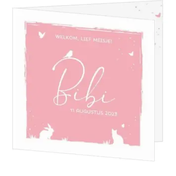 Geboortekaartje Bibi - Silhouetten van lieve diertjes