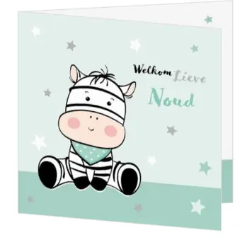 Geboortekaart Noud - Schattige baby zebra