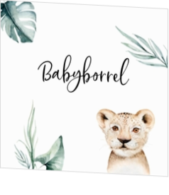 Babyborrel kaartjes & Kraamfeest uitnodigingen - geboortekaartje KB728