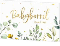Babyborrel kaartjes & Kraamfeest uitnodigingen - geboortekaartje KB697