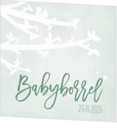 Babyborrel kaartjes & Kraamfeest uitnodigingen - geboortekaartje KB460