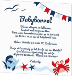 Babyborrel kaartjes & Kraamfeest uitnodigingen - geboortekaartje KB342