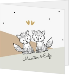 Tweeling vosjes - Maarten en Eefje
