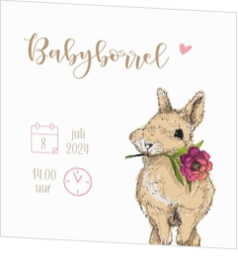 Babyborrel kaartjes & Kraamfeest uitnodigingen - geboortekaartje KB672