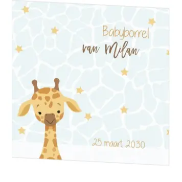 Babyborrel jongen giraf