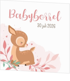 Babyborrel kaartjes & Kraamfeest uitnodigingen - geboortekaartje KB648-M