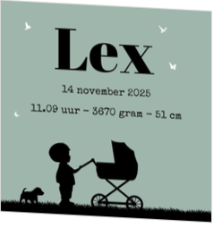 Poster voor in de babykamer - geboortekaartje LC647-J-P3