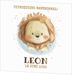 Babyborrelkaartje - Geïllustreerd leeuwtje