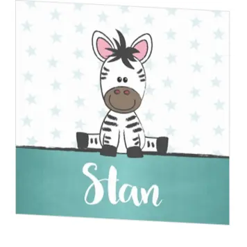 Poster 3 lief zebraatje jongen