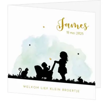 Hip geboortekaartje blauw met silhouet van grote zus met kinderwagen