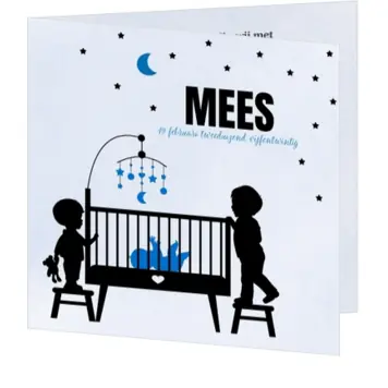 Geboortekaart grote broers bij wieg blauw