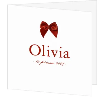 Geboortekaart Olivia strik
