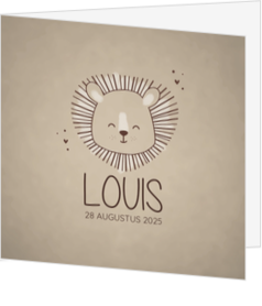 Geboortekaartje Louis - Leeuwtje