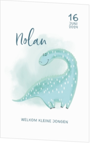 Geboortekaartje Nolan - Dino