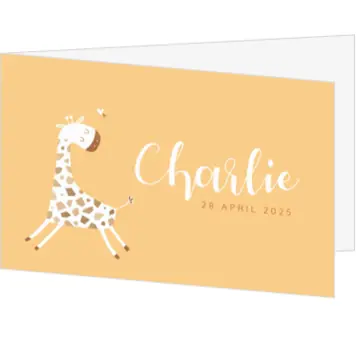 Geboortekaartje Charlie - Vrolijk girafje