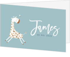 Geboortekaartje James - Grappig girafje