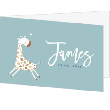 Geboortekaartje James - Grappig girafje