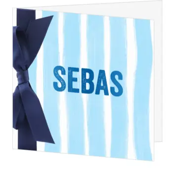 Geboortekaartje Sebas blauw 
