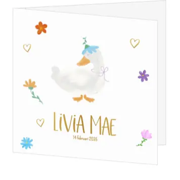 Vrolijke geboortekaart Livia Mae