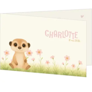 Geboortekaartje Charlotte - Schattig stokstaartje