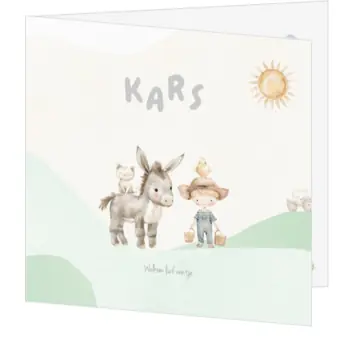 Boerderij met kindje en ezel