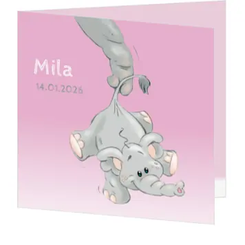 Mila - Olifanten pret