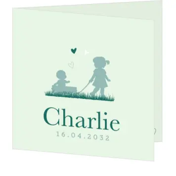 Lief geboortekaartje met silhouet van meisje met babybroertje in bolderkar