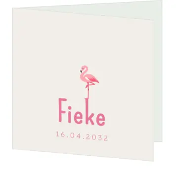 Fris geboortekaartje met getekende flamingo