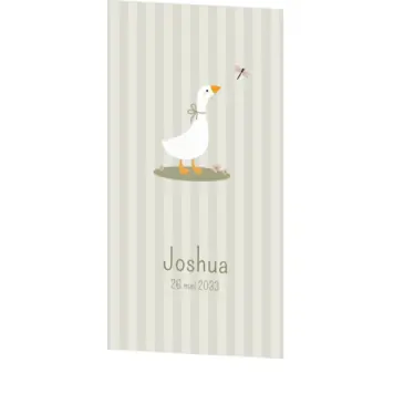 Schattig geboortekaartje voor een jongen met lieve gans