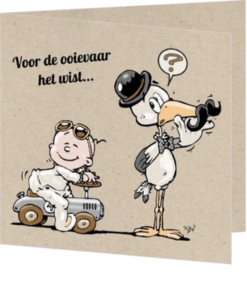 Stan - Verraste ooievaar 